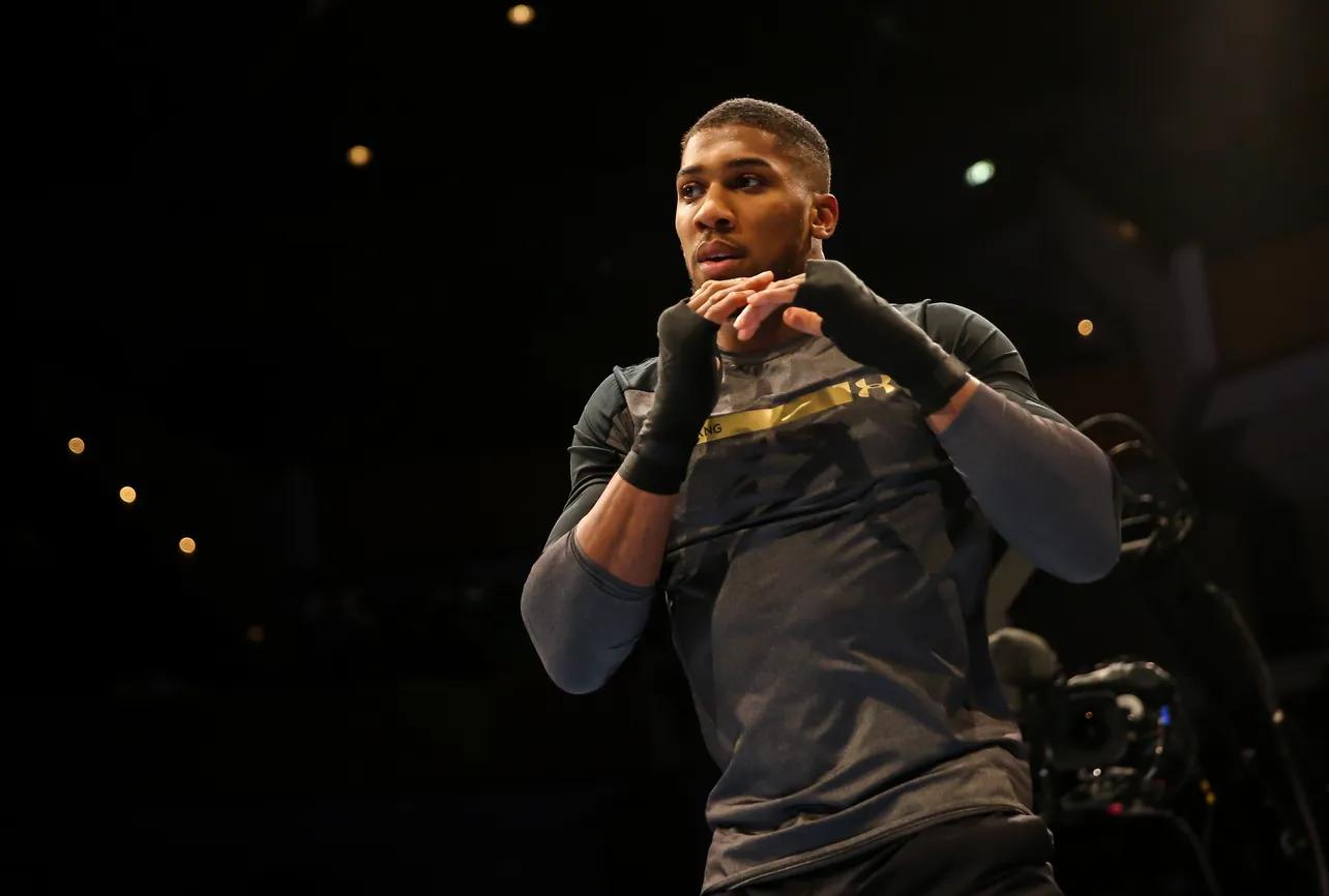 Combat Perspective: Joshua's Discipline and Heavyweight Rise
